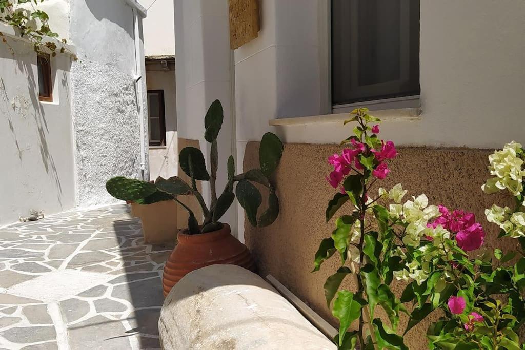 Naxos City Naxion Esti - Διαμονή Στην Παλιά Χώρα Της Νάξουヴィラ エクステリア 写真