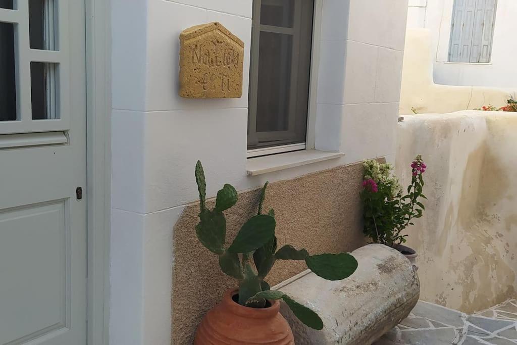 Naxos City Naxion Esti - Διαμονή Στην Παλιά Χώρα Της Νάξουヴィラ エクステリア 写真